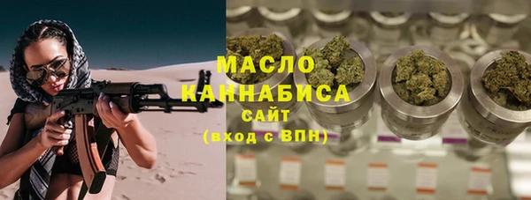 сатива Новозыбков