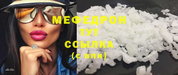 сатива Новозыбков
