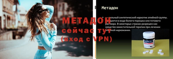сатива Новозыбков