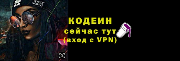 сатива Новозыбков