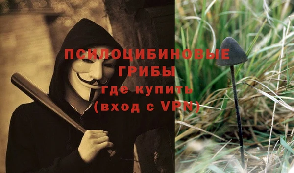 а пвп мука Новодвинск