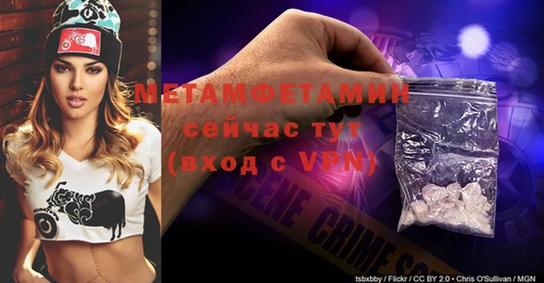 сатива Новозыбков