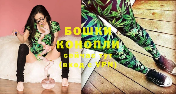 прущие грибы Нефтегорск