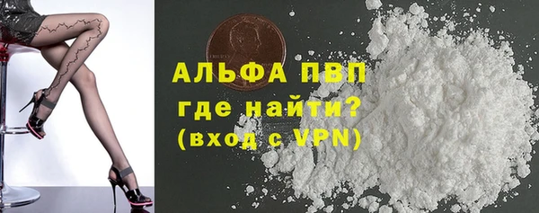 эйфоретик Новокубанск