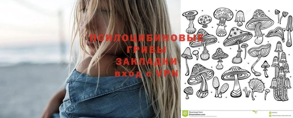 а пвп мука Новодвинск
