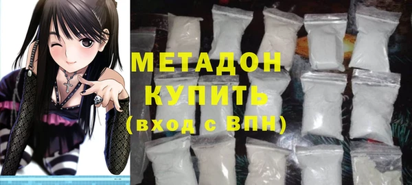 сатива Новозыбков