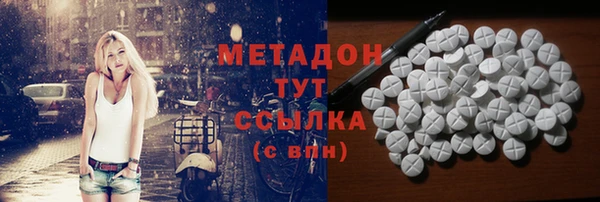 сатива Новозыбков