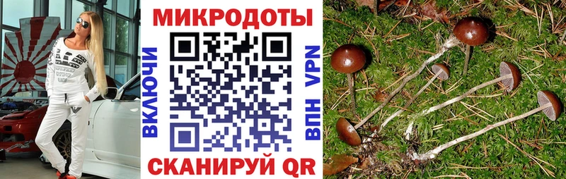 МЕГА tor  Болхов  Псилоцибиновые грибы мицелий 